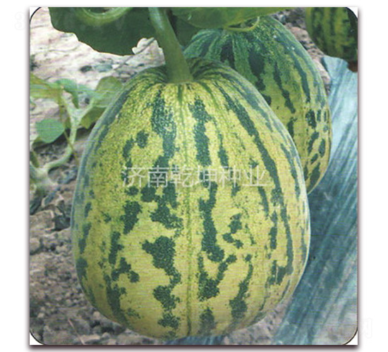 ����-��ϷN��-Ǭ���N�I(y��)