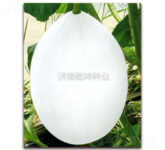 Ǭ������-��ϷN��-Ǭ���N�I(y��)