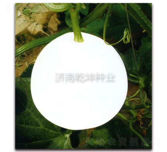 �A��-��ϷN��-Ǭ���N�I(y��)