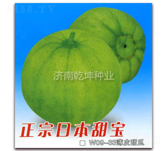 �����ձ�����-��ϷN��-Ǭ���N�I(y��)