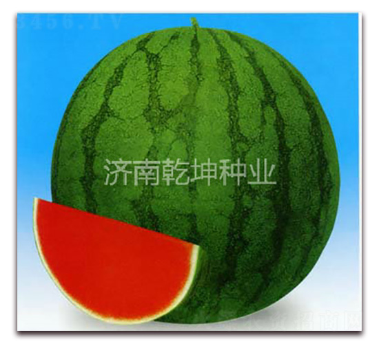 �o��һ̖(h��o)-���ϷN��-Ǭ���N�I(y��)