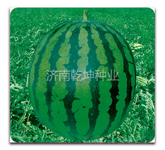 �����e����-���ϷN��-Ǭ���N�I(y��)