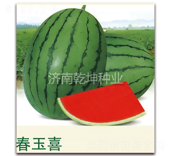 ����ϲ-���ϷN��-Ǭ���N�I(y��)