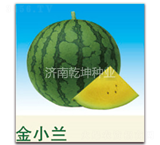 ��С�m-���ϷN��-Ǭ���N�I(y��)