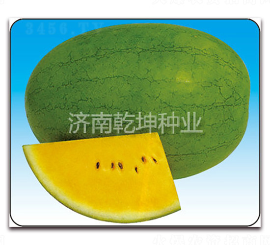 ����-���ϷN��-Ǭ���N�I(y��)