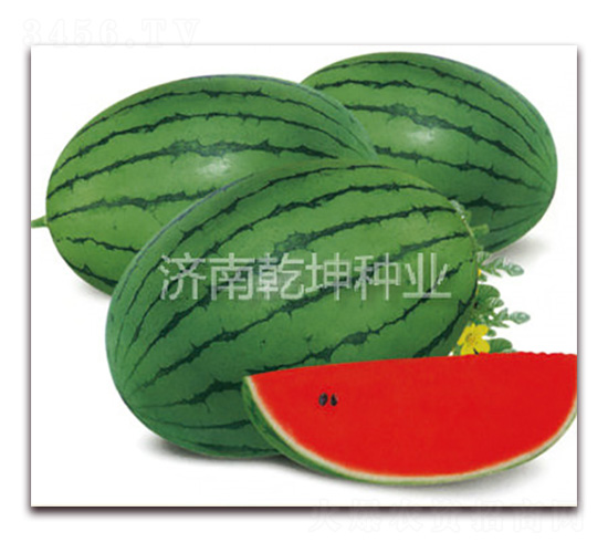 ��tϲ-���ϷN��-Ǭ���N�I(y��)