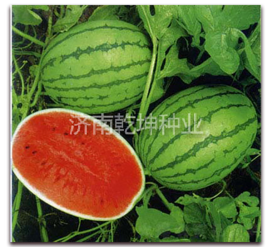 ������ʹ-���ϷN��-Ǭ���N�I(y��)