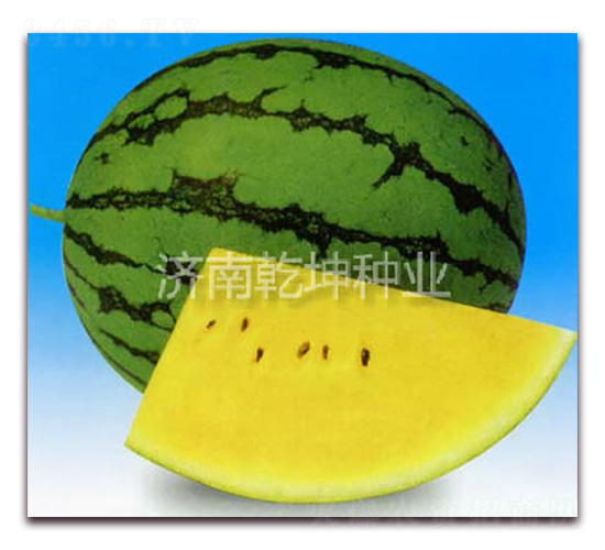 �F��-���ϷN��-Ǭ���N�I(y��)