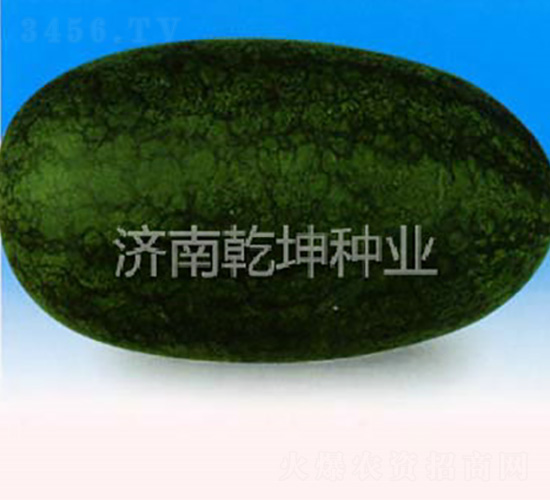 ������-���ϷN��-Ǭ���N�I(y��)