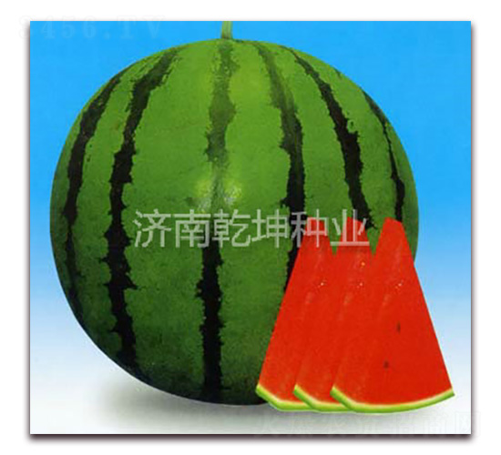 �OƷ�P��-���ϷN��-Ǭ���N�I(y��)