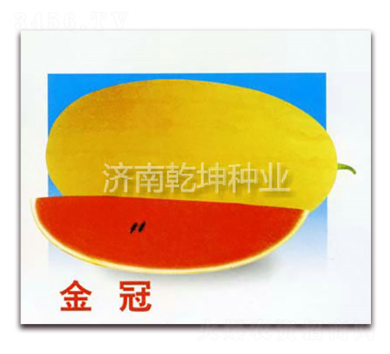 ���-���ϷN��-Ǭ���N�I(y��)