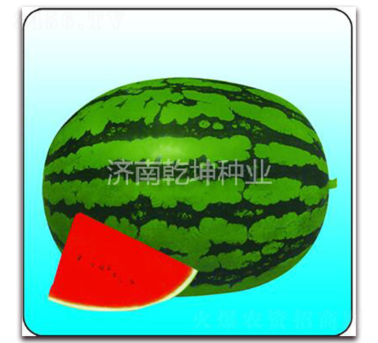 ���|(zh��)����-���ϷN��-Ǭ���N�I(y��)