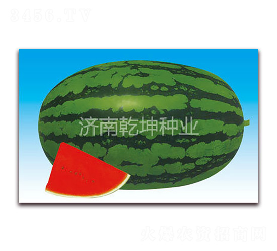 ���A������̖(h��o)-���ϷN��-Ǭ���N�I(y��)