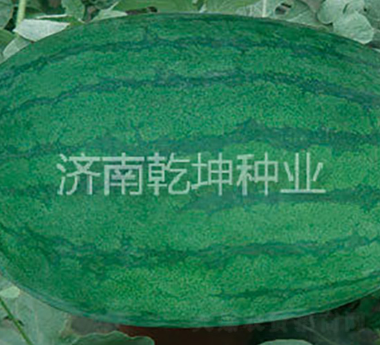 ������-���ϷN��-Ǭ���N�I(y��)