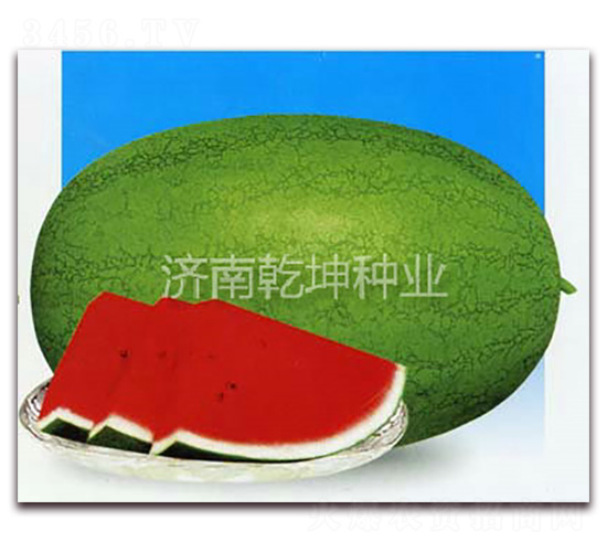 Ǭ����-���ϷN��-Ǭ���N�I(y��)