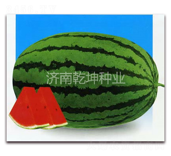 ����������-���ϷN��-Ǭ���N�I(y��)