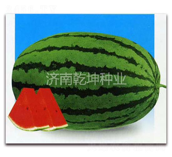 ����(gu��)�Нh688-���ϷN��-Ǭ���N�I(y��)