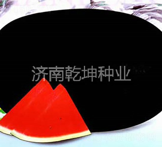 �����L-���ϷN��-Ǭ���N�I(y��)