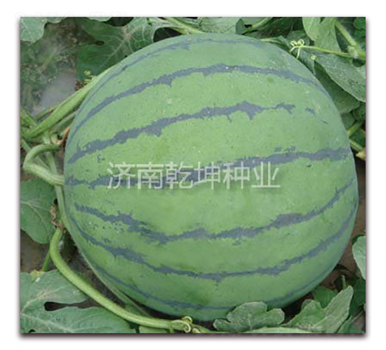 ��Ԫ��-���ϷN��-Ǭ���N�I(y��)