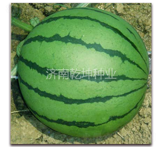 ���x�����¶�̖-���ϷN��-Ǭ���N�I(y��)