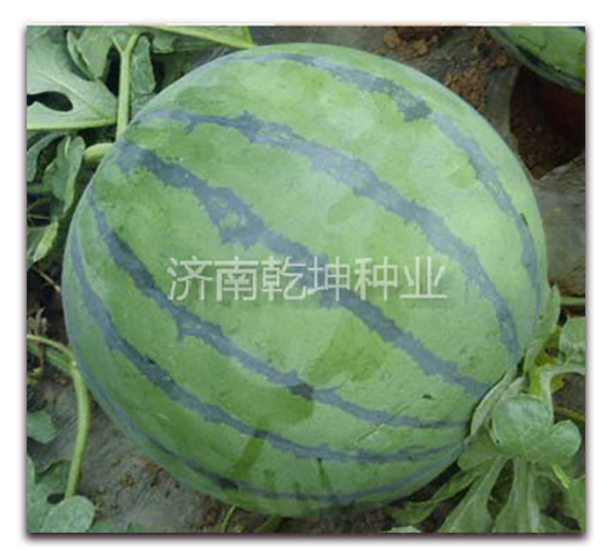 ���x863-���ϷN��-Ǭ���N�I(y��)