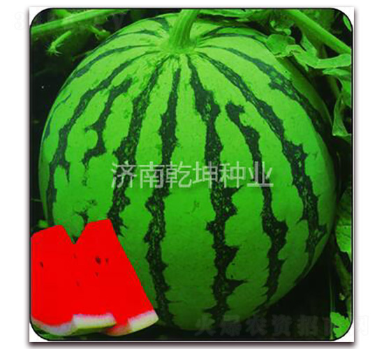 ��(ji��ng)�����-���ϷN��-Ǭ���N�I(y��)