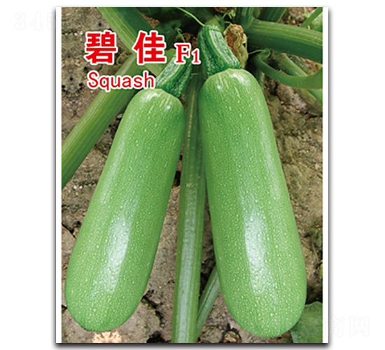 �̼�-�����J�N��-�x���