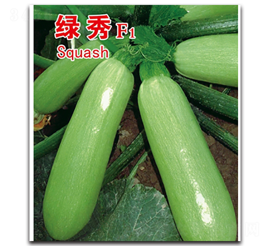 �G��-�����J�N��-�x���(l��i)