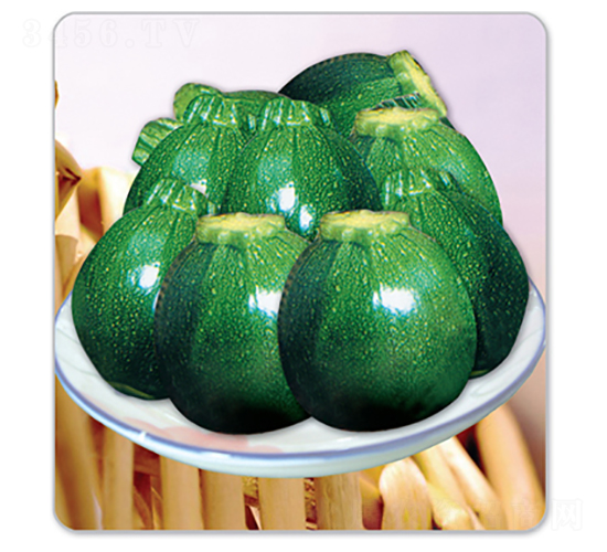 ����-�����J�N��-�x���