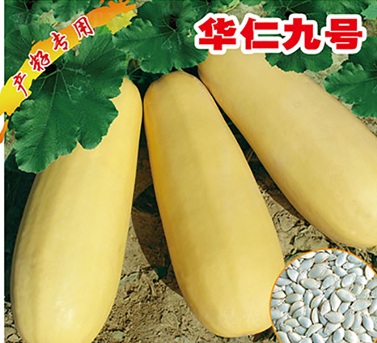 �A�ʾ�̖(h��o)-�����J�N��-�x���