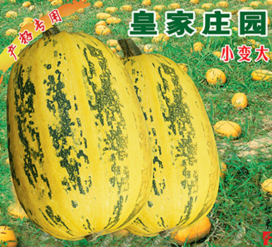 �ʼ��f�@-�����J�N��-�x���