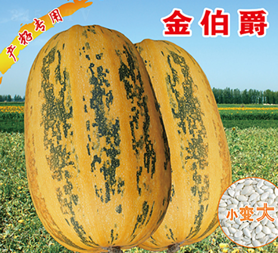 �𲮾�-�����J�N��-�x���