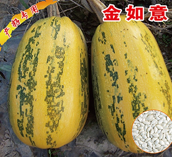 ������-�����J�N��-�x���(l��i)