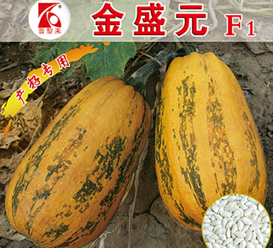 ��ʢԪ-�����J�N��-�x���