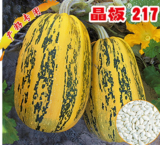 ����217-�����J�N��-�x���