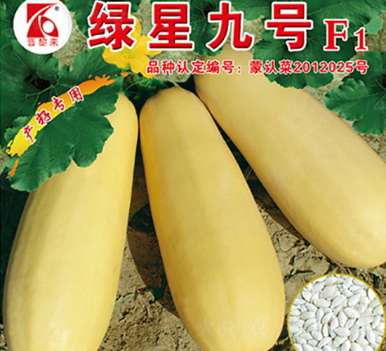 �G�Ǿ�̖-�����J�N��-�x���