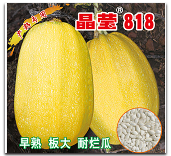 ����818-�����J�N��-�x���