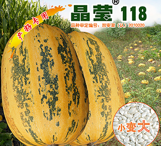 ����118-�����J�N��-�x���(l��i)