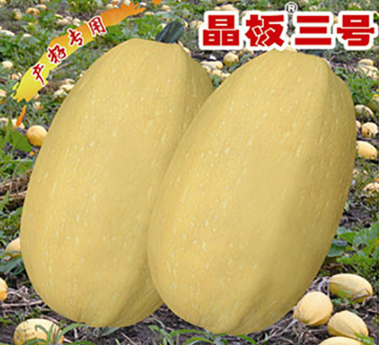 ������̖(h��o)-�����J�N��-�x���(l��i)