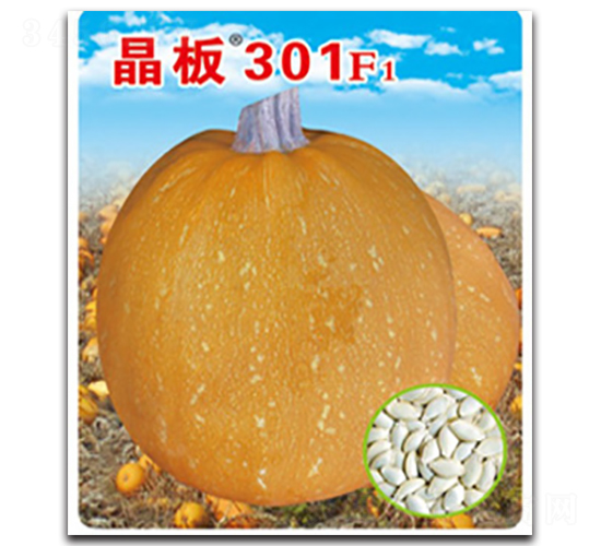 ����301-�����J�N��-�x���