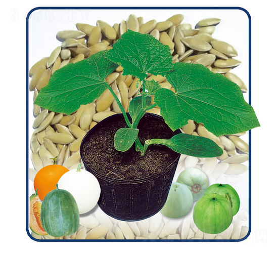 ��������һ̖-�����ľ-��̩�_