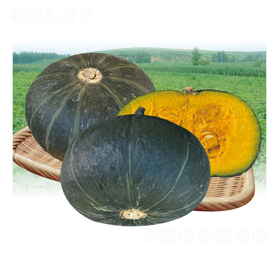 С��ؐ4�Ϲ�F1-�ϹϷN��-��̩�_(d��)