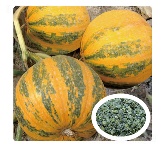 �ι�һ̖(h��o)-�����J�N��-��̩�_(d��)