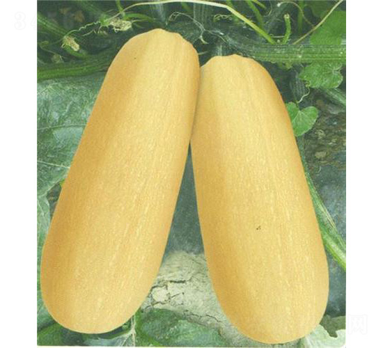 ̩�S��̖�����J-�����J�N��-��̩�_(d��)