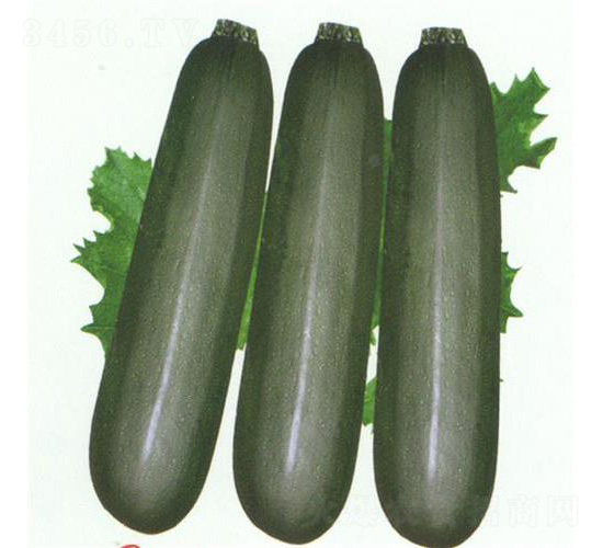 ī�������J-�����J�N��-��̩�_(d��)