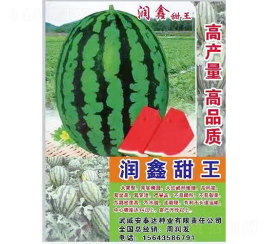 �Ν�����-���ϷN��-��̩�_