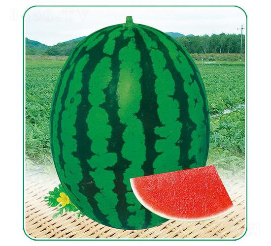 �X(qi��n)Դ����һ̖(h��o)-���ϷN��-��̩�_(d��)