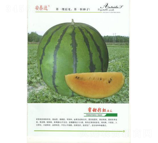 ����ʺ�����-���ϷN��-��̩�_(d��)