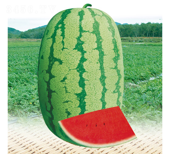 �\�Aһ̖(h��o)����-���ϷN��-��̩�_(d��)