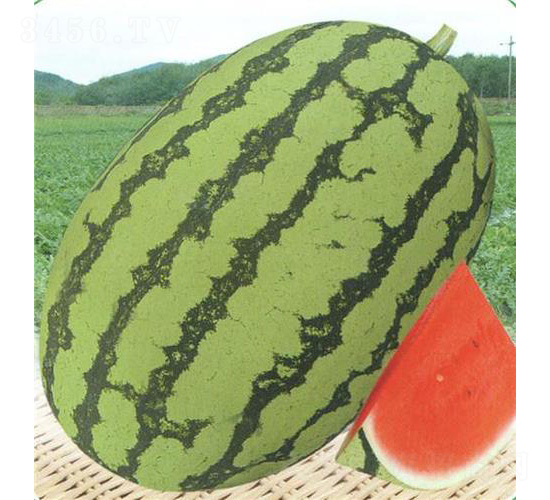 ����(y��u)��̖(h��o)-���ϷN��-��̩�_(d��)